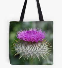 Cotton Thistle, Cirsium eriophorum Tote Bag