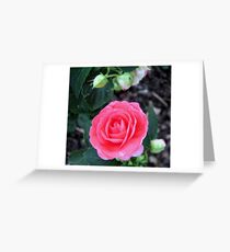 Perfect Size Greeting Card