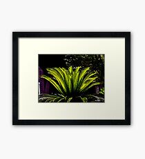 The Beauty Of A Sega Framed Print