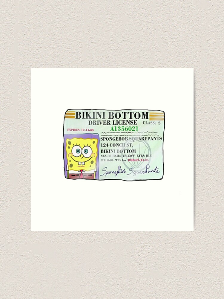 Spongebob Squarepants Driver S License Art Print By Akachayy
