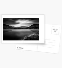 Cloud phoenix Black and White Postcards