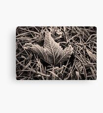 Frozen Canvas Print