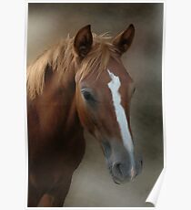 Rusty Poster