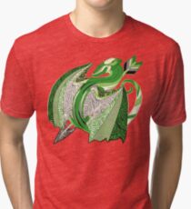 Aromantic Pride Dragon Tri-blend T-Shirt