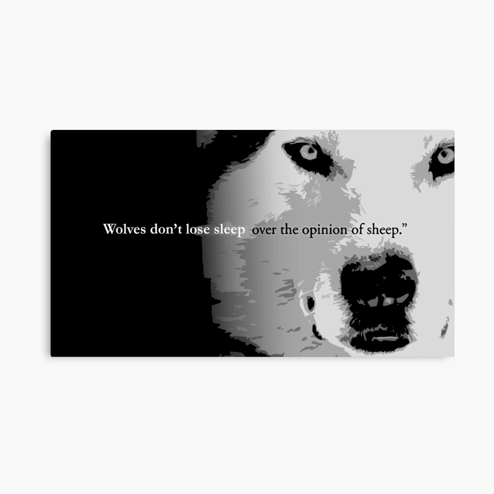 wolves dont lose sleep over the opinions of sheep wolves dont lose sleep over the opinions of sheep