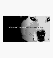 Wolves don't lose sleep over the opinion of sheep Photographic Print