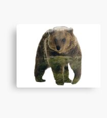 Scavenger Metal Print