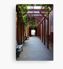 A pedestrian thoroughfare - Benalla Canvas Print