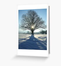 coronation tree Greeting Card