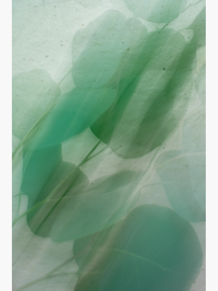 Fleur Blur Series-Abstract Eucalyptus Leaves by AhUmDesign