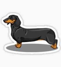 dachshund. sketch. Sticker