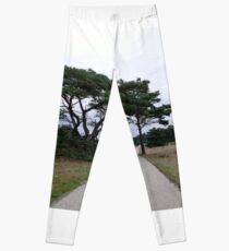 Parc du Haut Veluwe Leggings