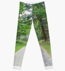 Forest Leggings