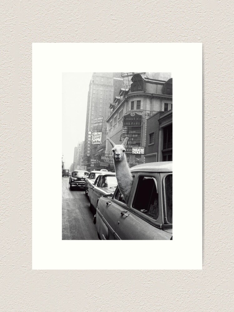 Alternate view of New York Llama Art Print