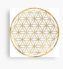 Flower of Life, sacred circle geometry Canvas Print