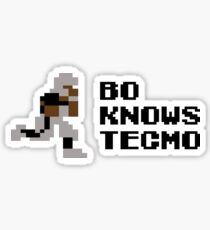 Bo Knows Tecmo Sticker