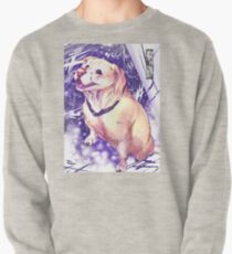 Gauge Pullover