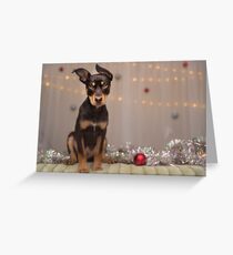 Christmas Puppy Greeting Card