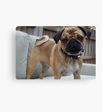 Peppa Pig Canvas Print