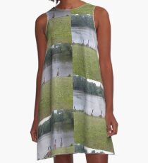 Ducks A-Line Dress