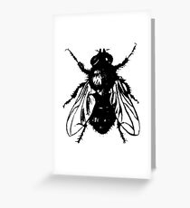 The Fly Greeting Card
