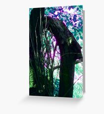 Mother Nature sculptures Greeting Card