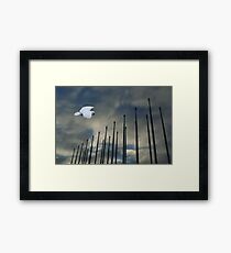 White Penon Framed Print