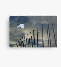 White Penon Metal Print