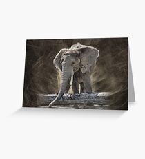 Elephant Greeting Card