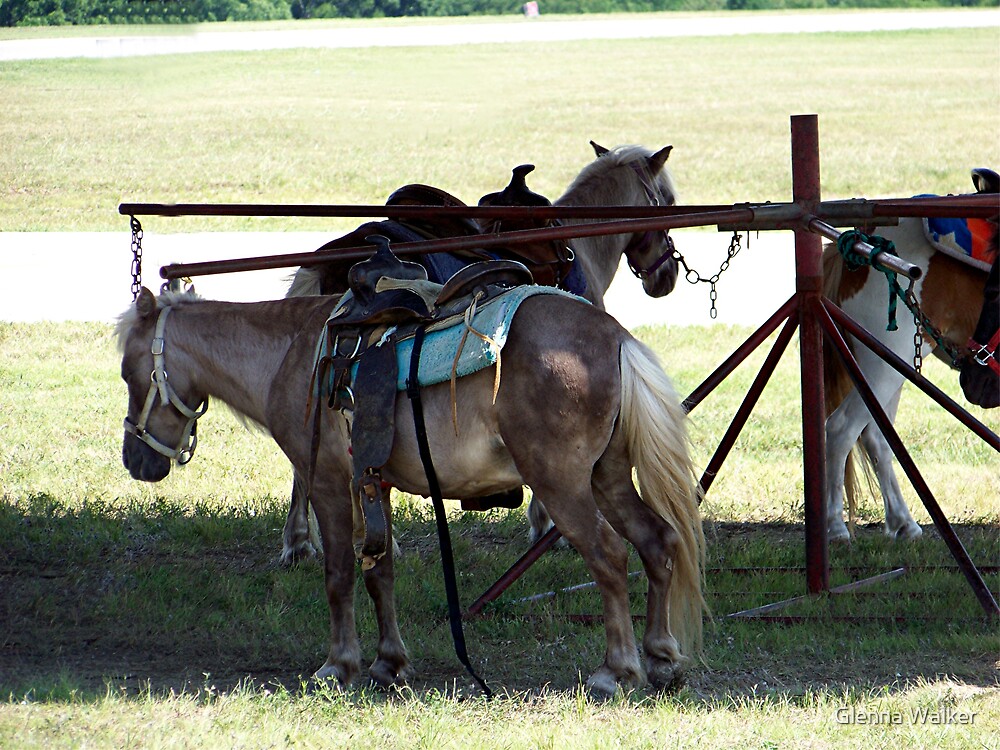 pony ride along