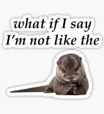 Foo Fighters - The Pretender otter Sticker