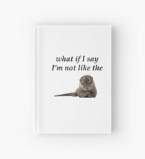 Foo Fighters - The Pretender otter Hardcover Journal