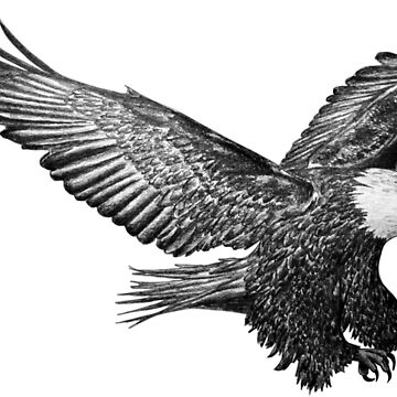 Vorschaubild zum Design Adler von dynamitfrosch