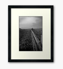 Fence Framed Print