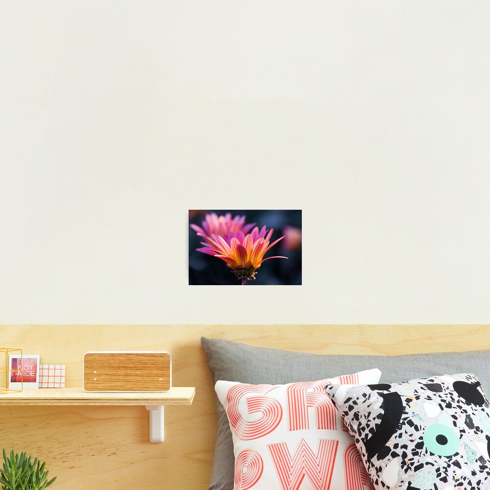 Pastel Peregrination Photographic Print