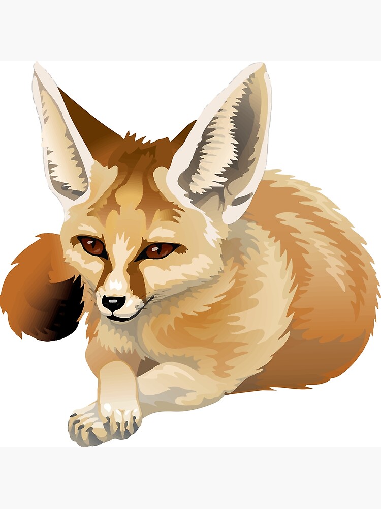 "Fennec Fox" Art Print by TortillaChief Redbubble
