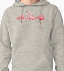 Flamingo Pattern - Black Pullover Hoodie