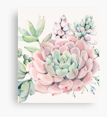 Pretty Succulents Pink and Green Desert Succulent Illustration Canvas Print
