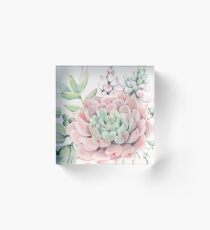 Pretty Succulents Pink and Green Desert Succulent Illustration Acrylic Block