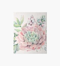 Pretty Succulents Pink and Green Desert Succulent Illustration Art Board