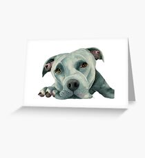 Big Old Head | Pit Bull Dog Watercolor Art Greeting Card