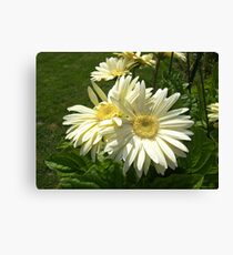 Posies Canvas Print