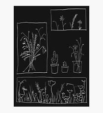 wildflowers Photographic Print