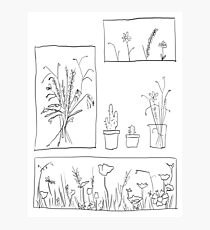 wildflowers illustrated print Photographic Print