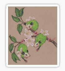 Green Apple Opossums Sticker