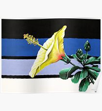receptive hibiscus Poster