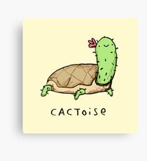 Cactoise Canvas Print