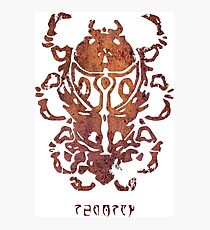 House Redoran Photographic Print