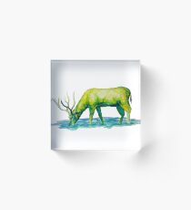 green elk Acrylic Block
