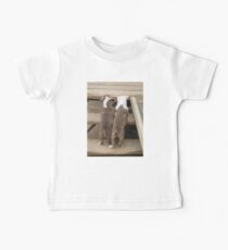 It's A Long Way Up Baby Tee